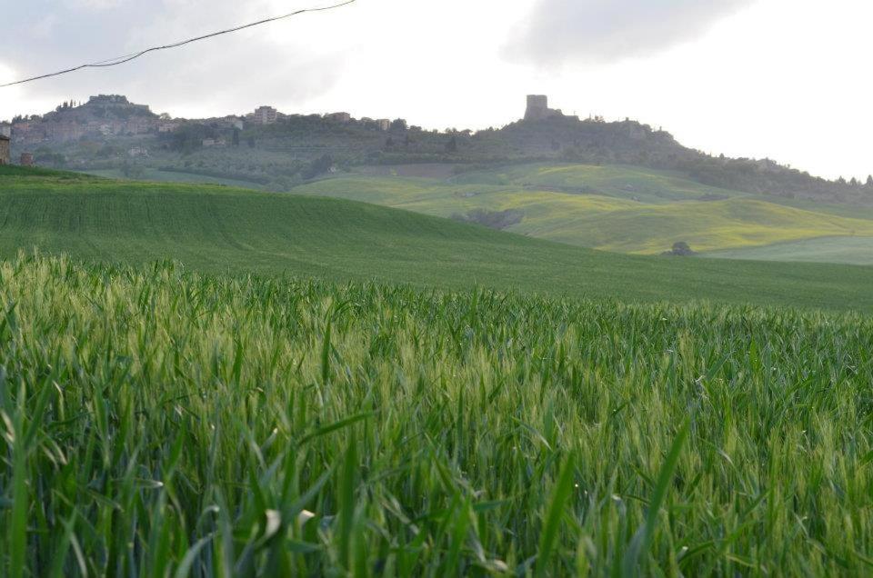 Val D'Orcia Nel Borgo Διαμέρισμα Castiglione dʼOrcia Εξωτερικό φωτογραφία