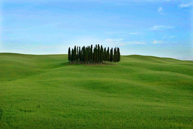 Val D'Orcia Nel Borgo Διαμέρισμα Castiglione dʼOrcia Εξωτερικό φωτογραφία